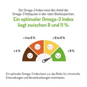 NORSAN Fettsäure-Analyse